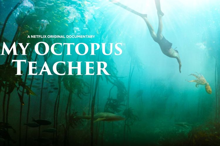 film octopus teacher